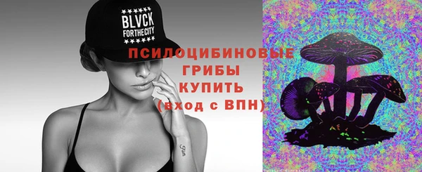 мяу мяу мука Пестово