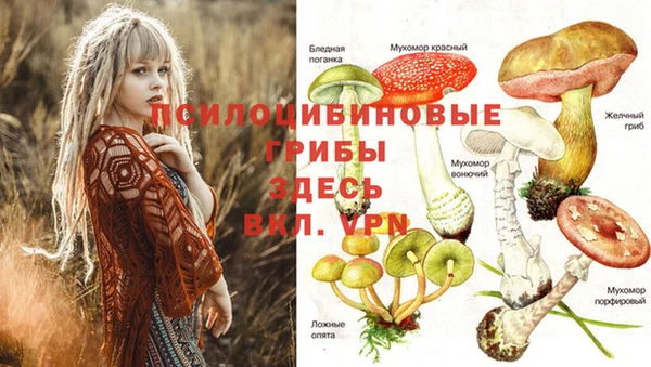 амф Абинск