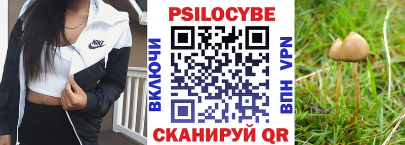 Галлюциногенные грибы Cubensis  kraken зеркало  Грайворон 
